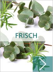 Frisch